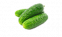 Огірок
